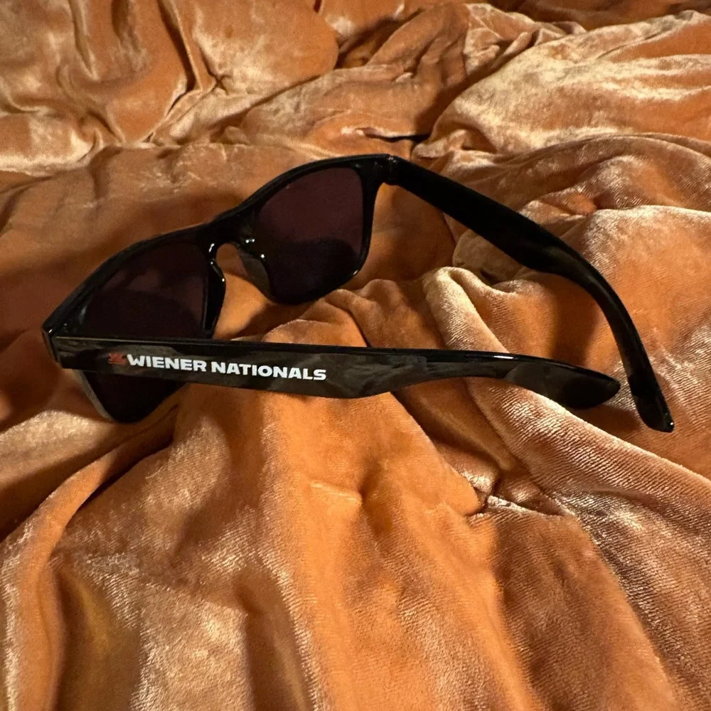Zero Barks Given 🐾😎 Wayfarer Style Sunglasses Weiner Nationals Huntington Beach